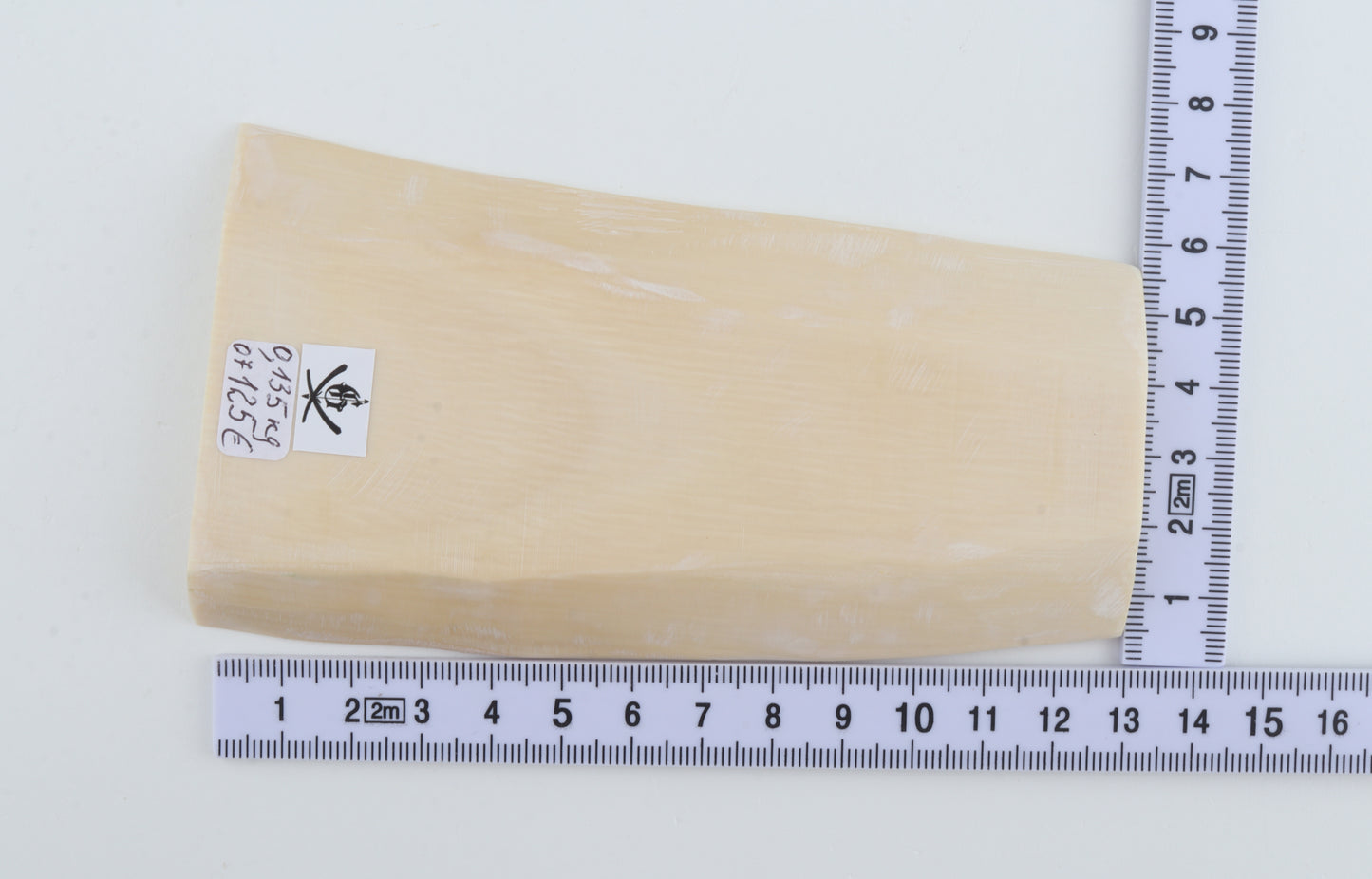 White mammoth ivory segment