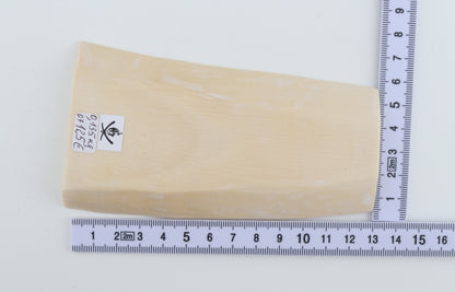 White mammoth ivory segment