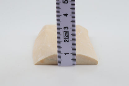 White mammoth ivory segment