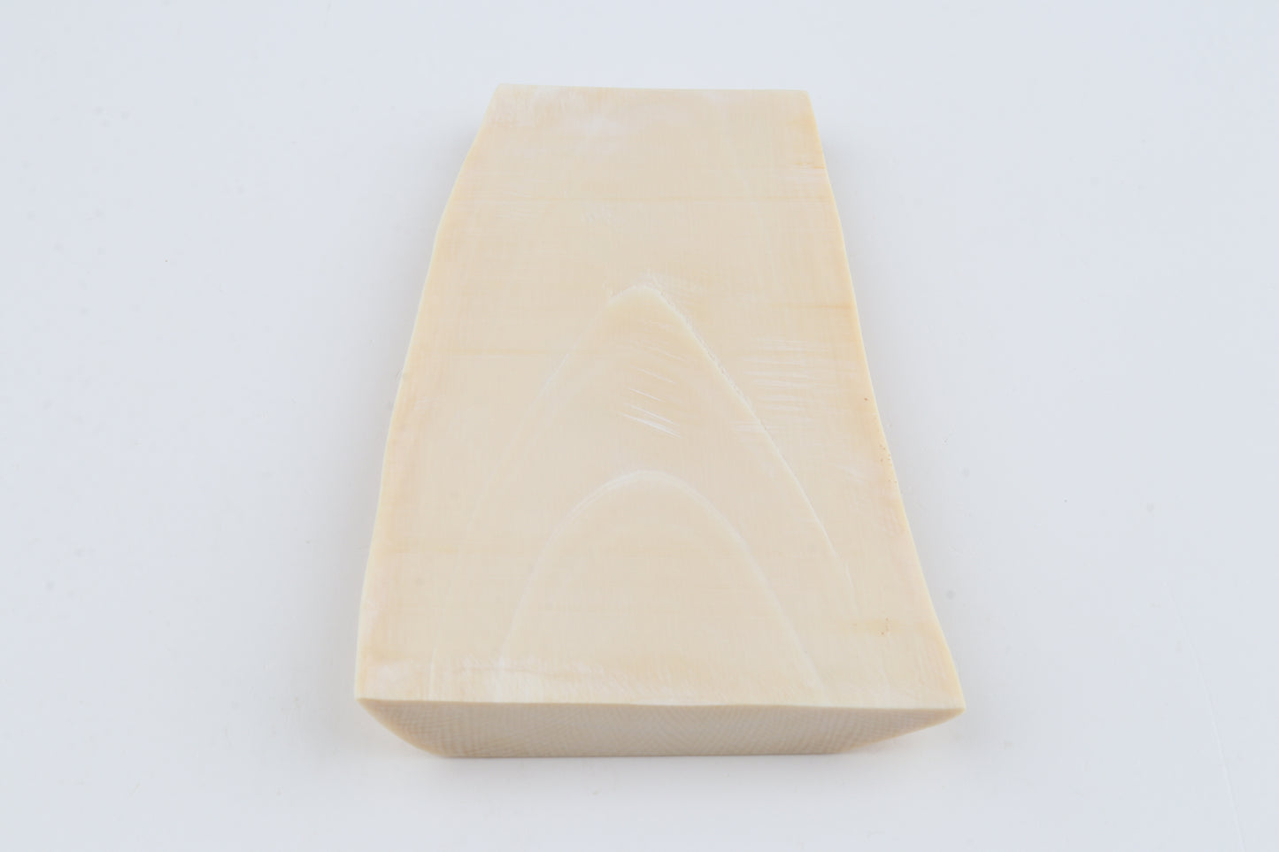 White mammoth ivory segment