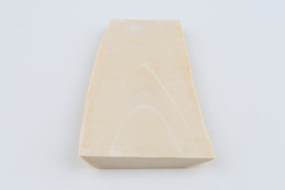 White mammoth ivory segment