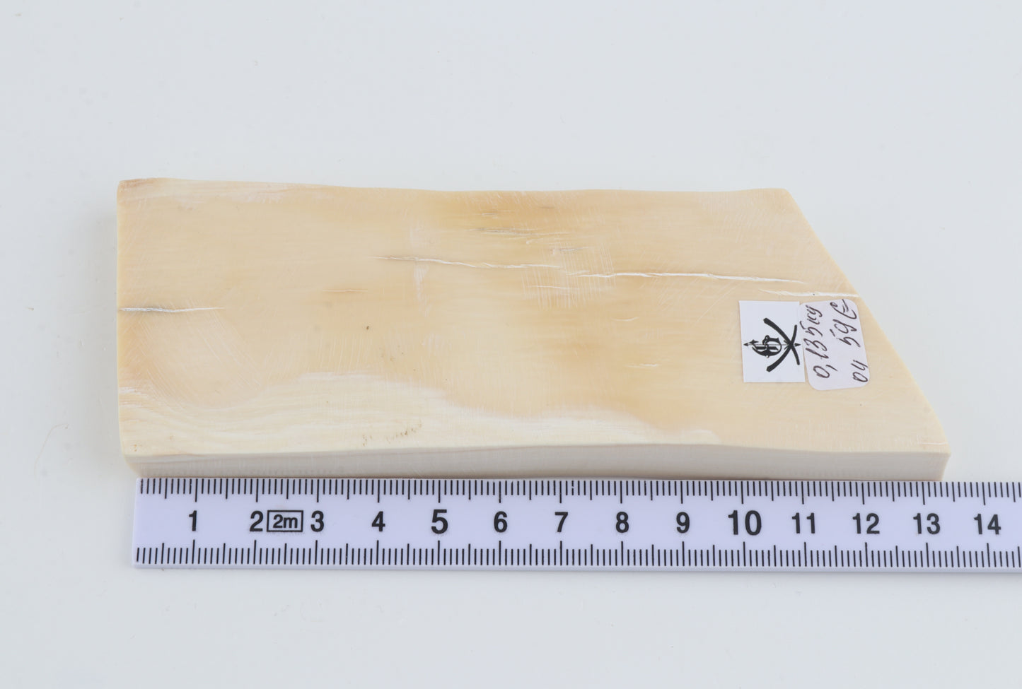 Natural mammoth ivory piece