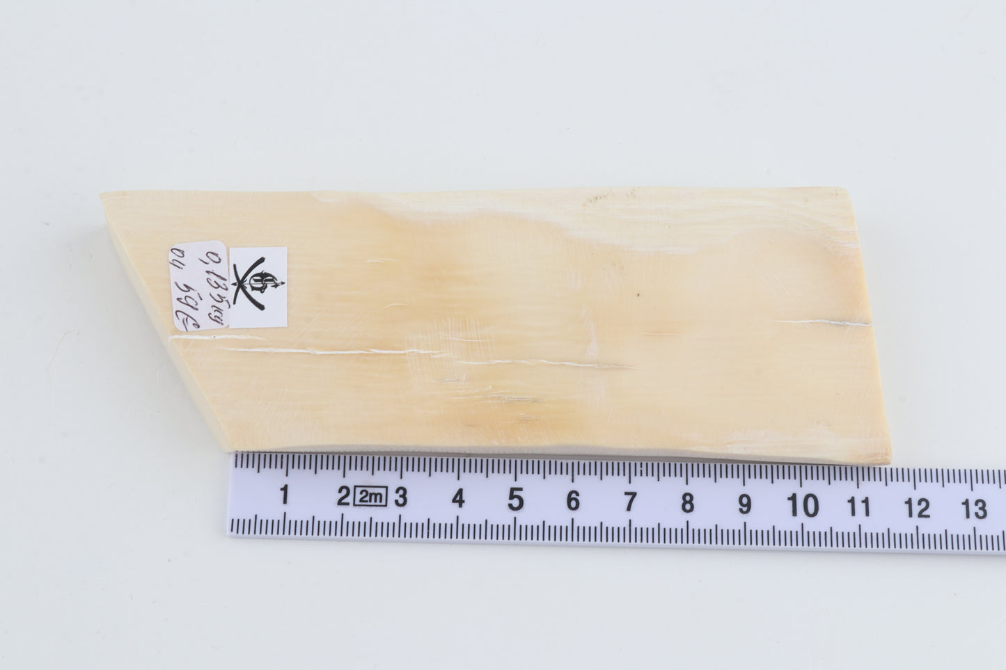 Natural mammoth ivory piece