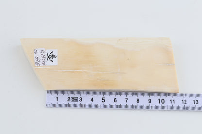 Natural mammoth ivory piece