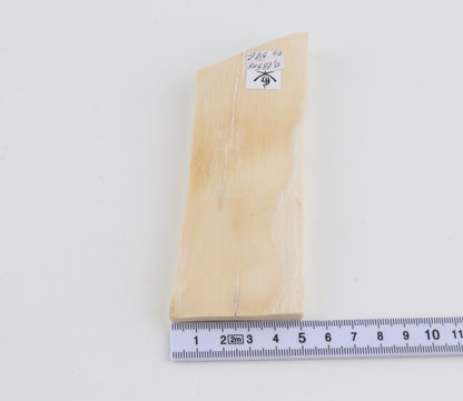 Natural mammoth ivory piece