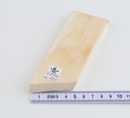 Natural mammoth ivory piece