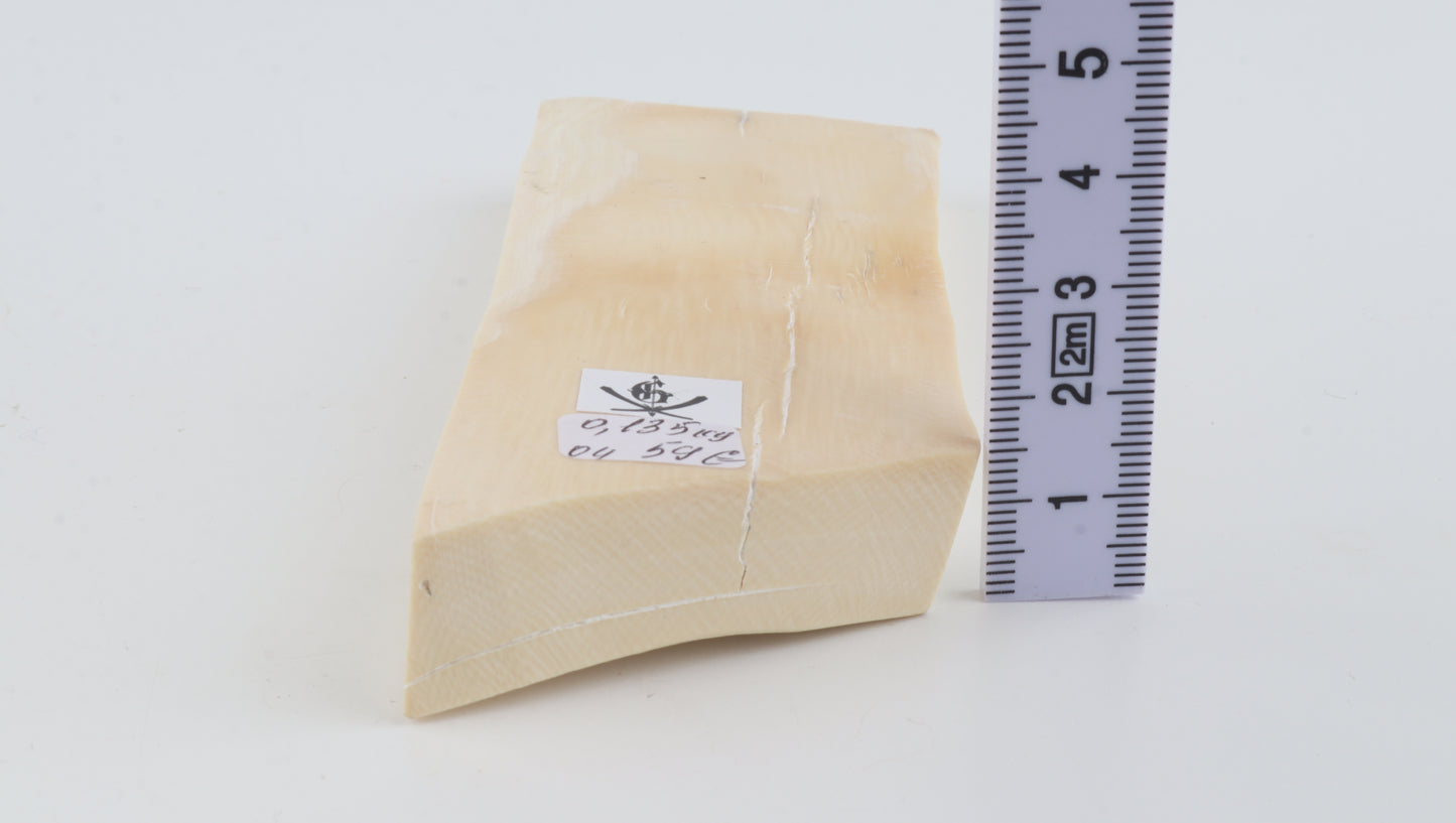 Natural mammoth ivory piece