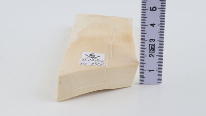 Natural mammoth ivory piece