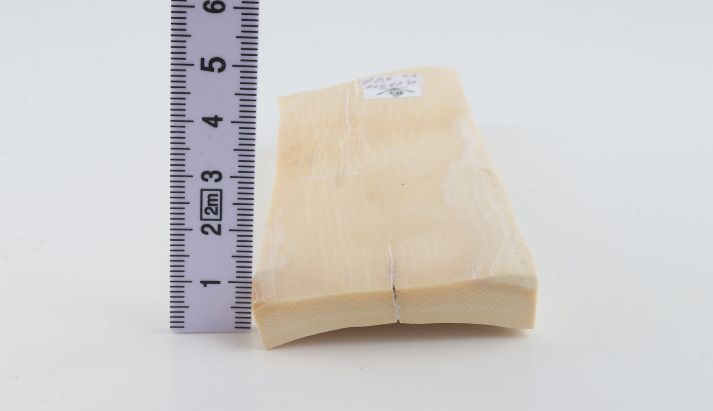 Natural mammoth ivory piece