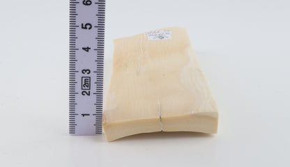 Natural mammoth ivory piece
