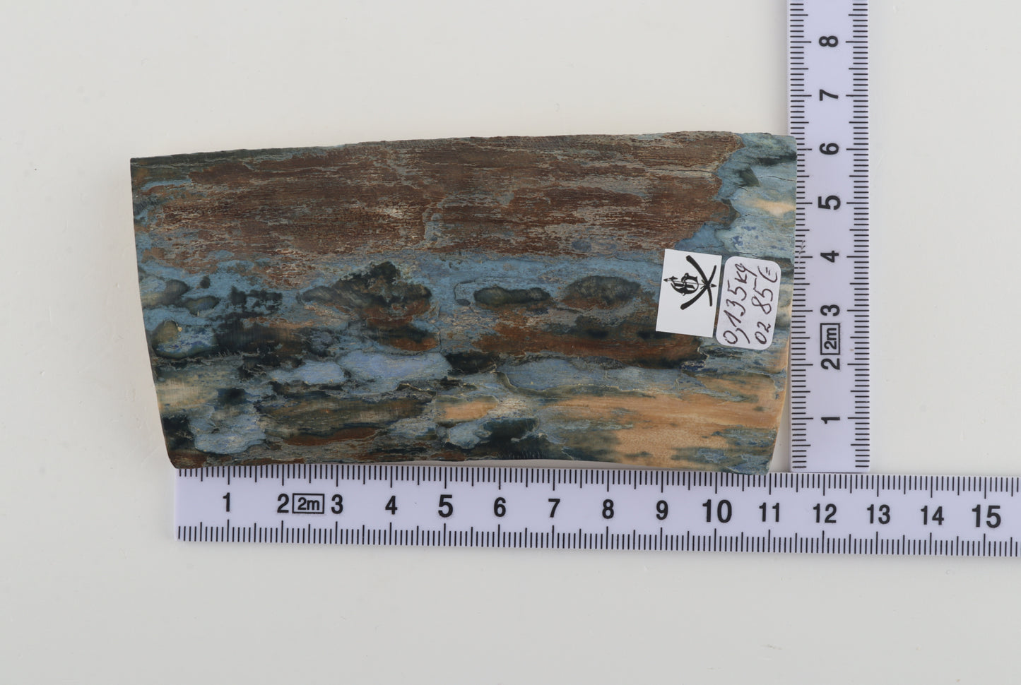 Blue-brown mammoth bark