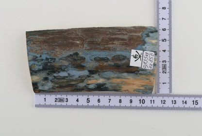 Blue-brown mammoth bark