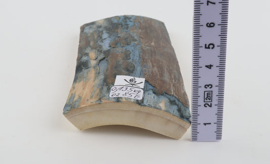 Blue-brown mammoth bark