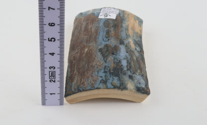 Blue-brown mammoth bark