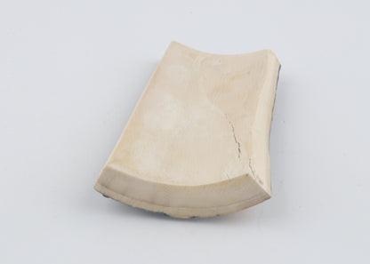 Blue-brown mammoth bark