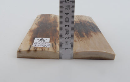 Natural mammoth bark scales