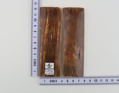 Natural mammoth bark scales
