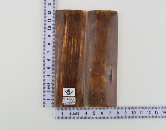 Natural mammoth bark scales