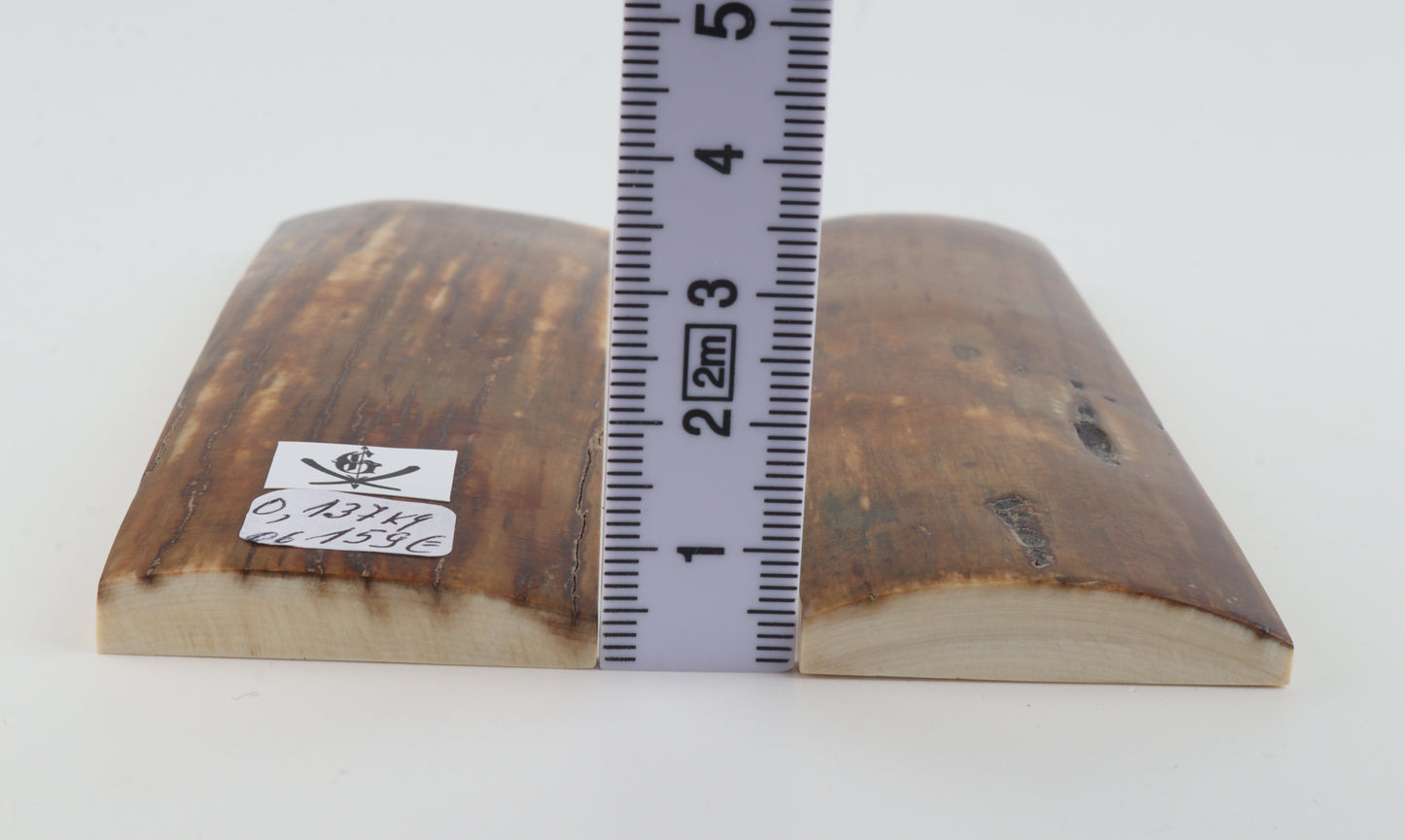 Natural mammoth bark scales