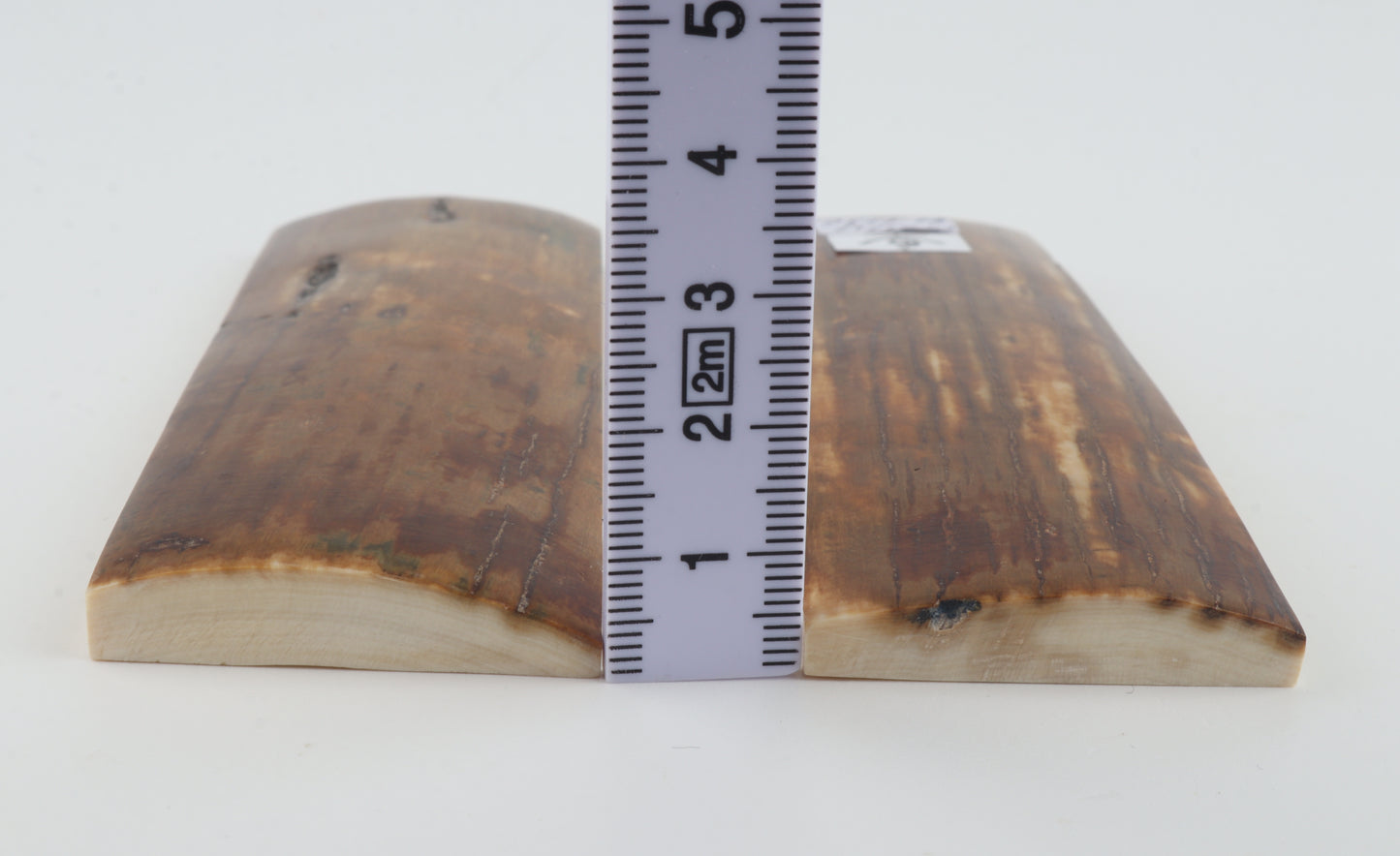 Natural mammoth bark scales
