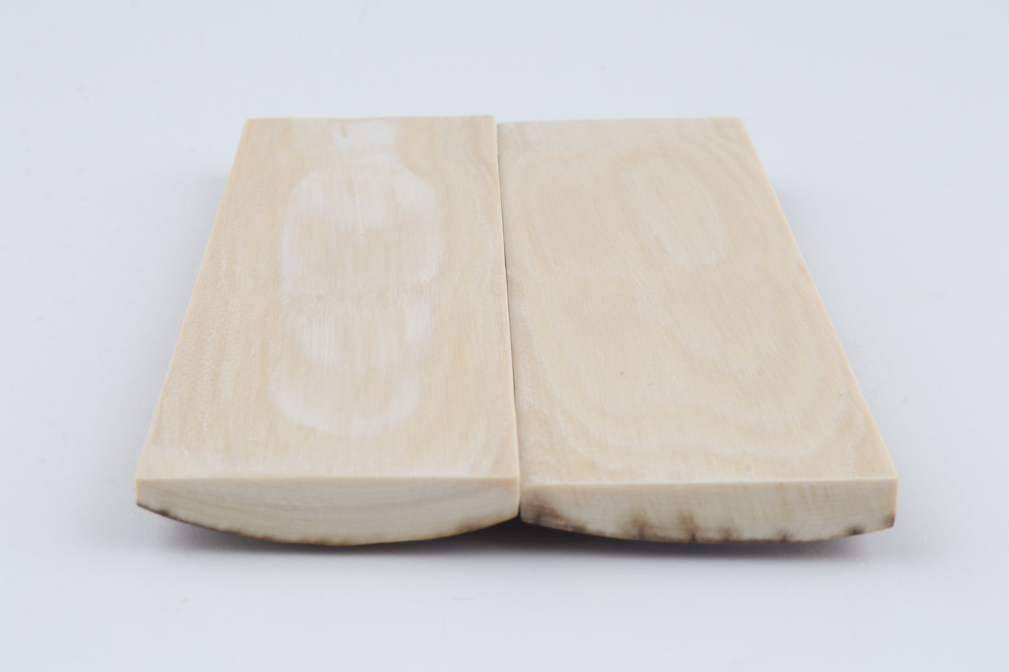 Natural mammoth bark scales