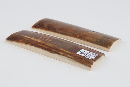 Natural mammoth bark scales