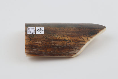 Brown-blue mammoth bark