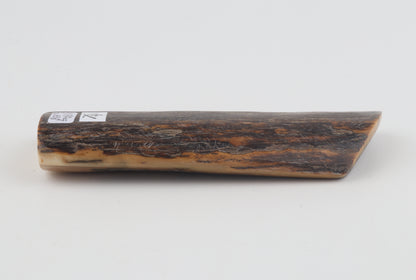 Brown-orange mammoth bark