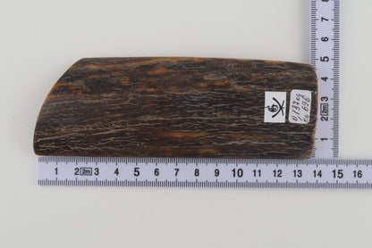 Brown-orange mammoth bark