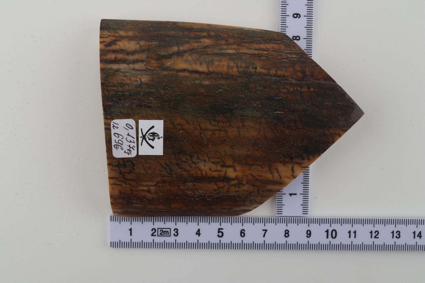 Brown-blue mammoth bark