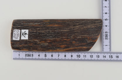 Brown-orange mammoth bark