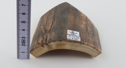 Brown-blue mammoth bark