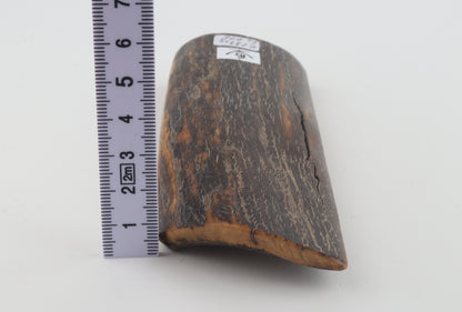 Brown-orange mammoth bark