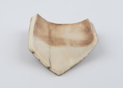 Brown-blue mammoth bark