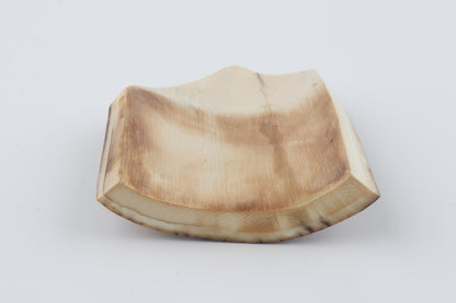 Brown-blue mammoth bark