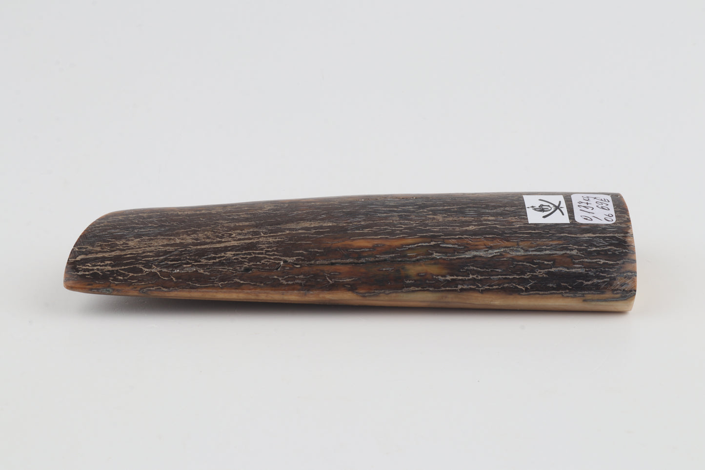 Brown-orange mammoth bark