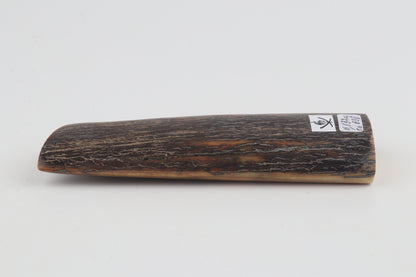 Brown-orange mammoth bark