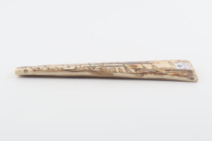 Creme-brown mammoth bark