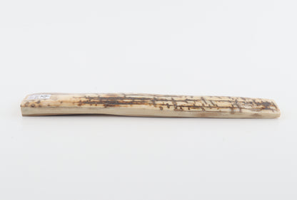 Creme-brown mammoth bark