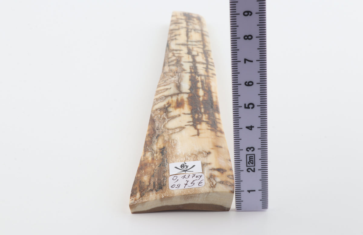 Creme-brown mammoth bark