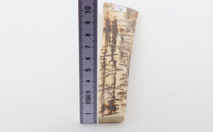 Creme-brown mammoth bark