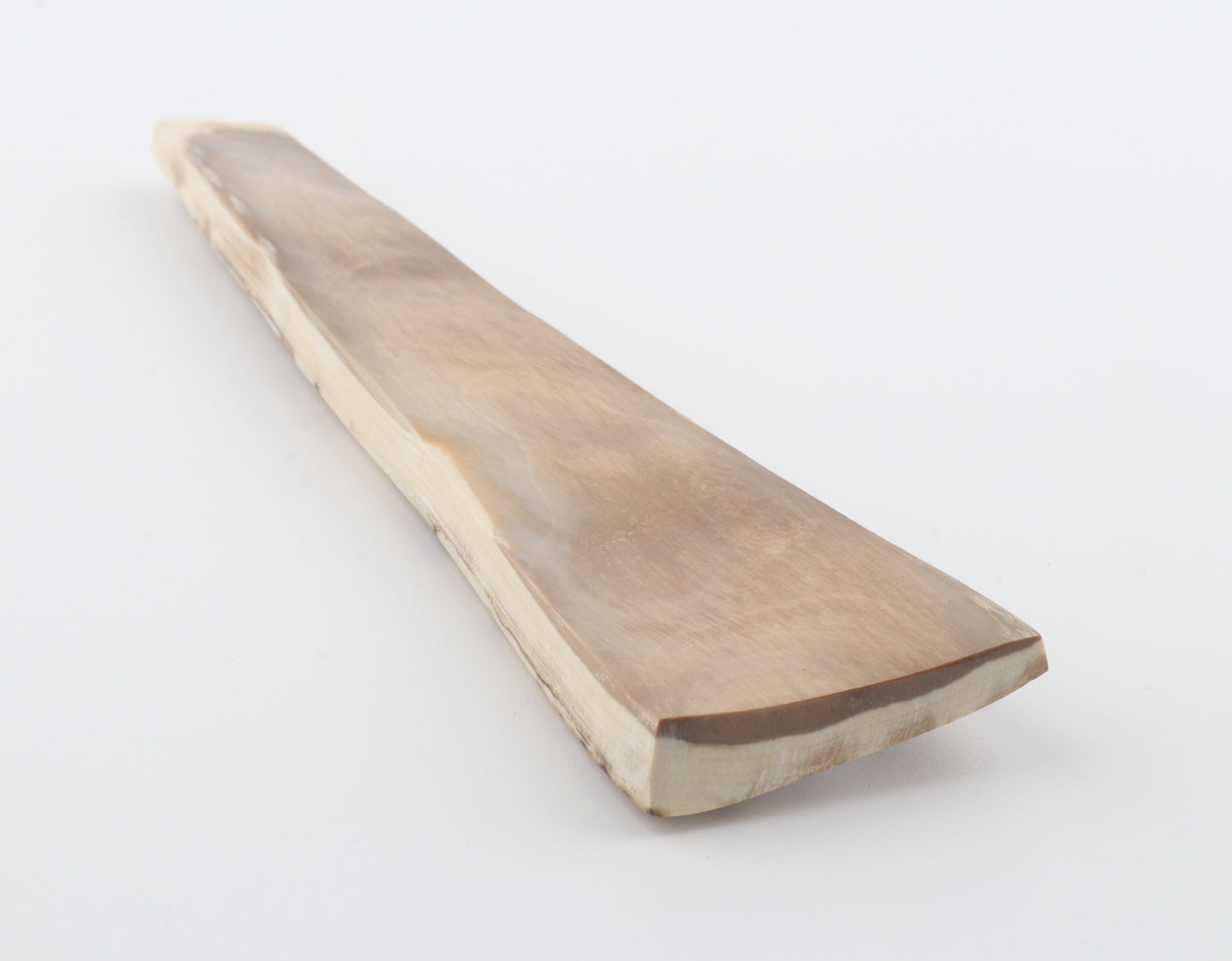 Creme-brown mammoth bark
