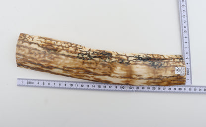 Caramel mammoth bark