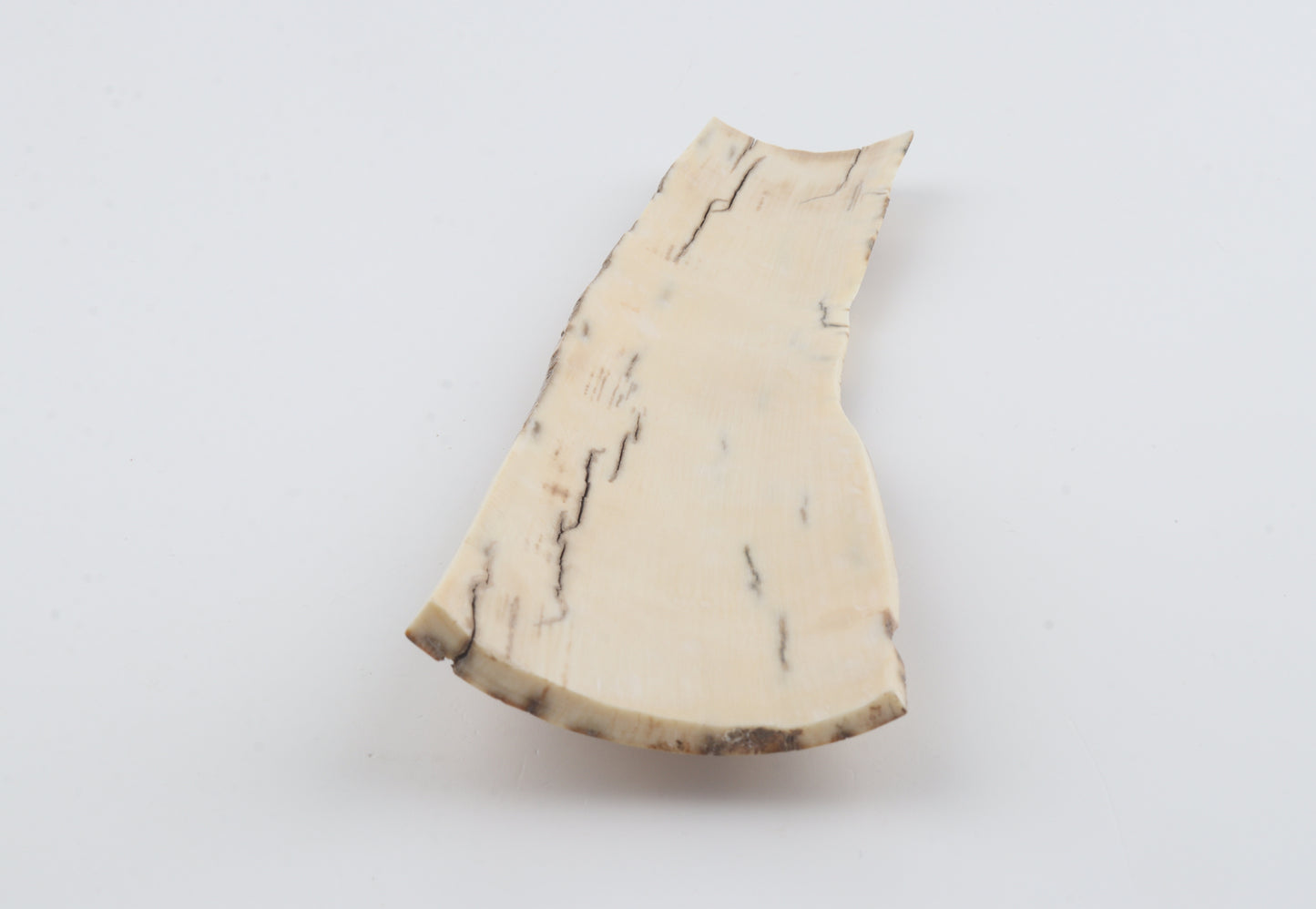Caramel mammoth bark