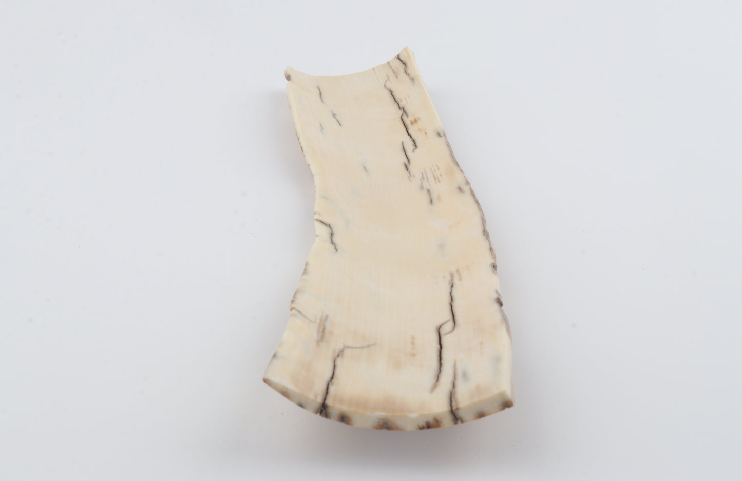 Caramel mammoth bark