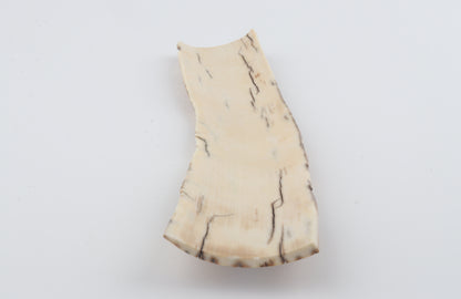 Caramel mammoth bark