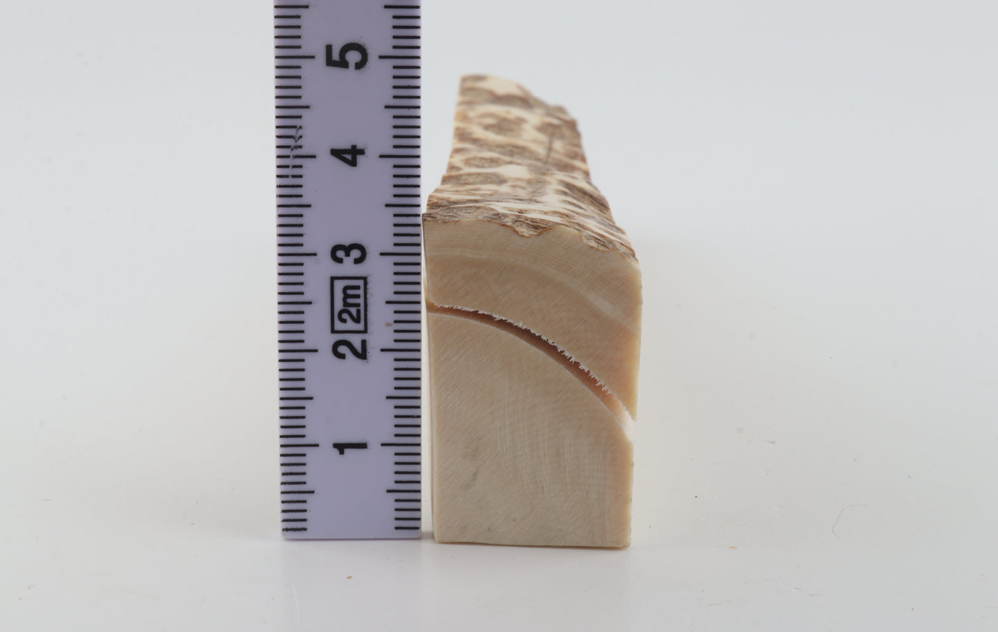 Natural mammoth ivory piece