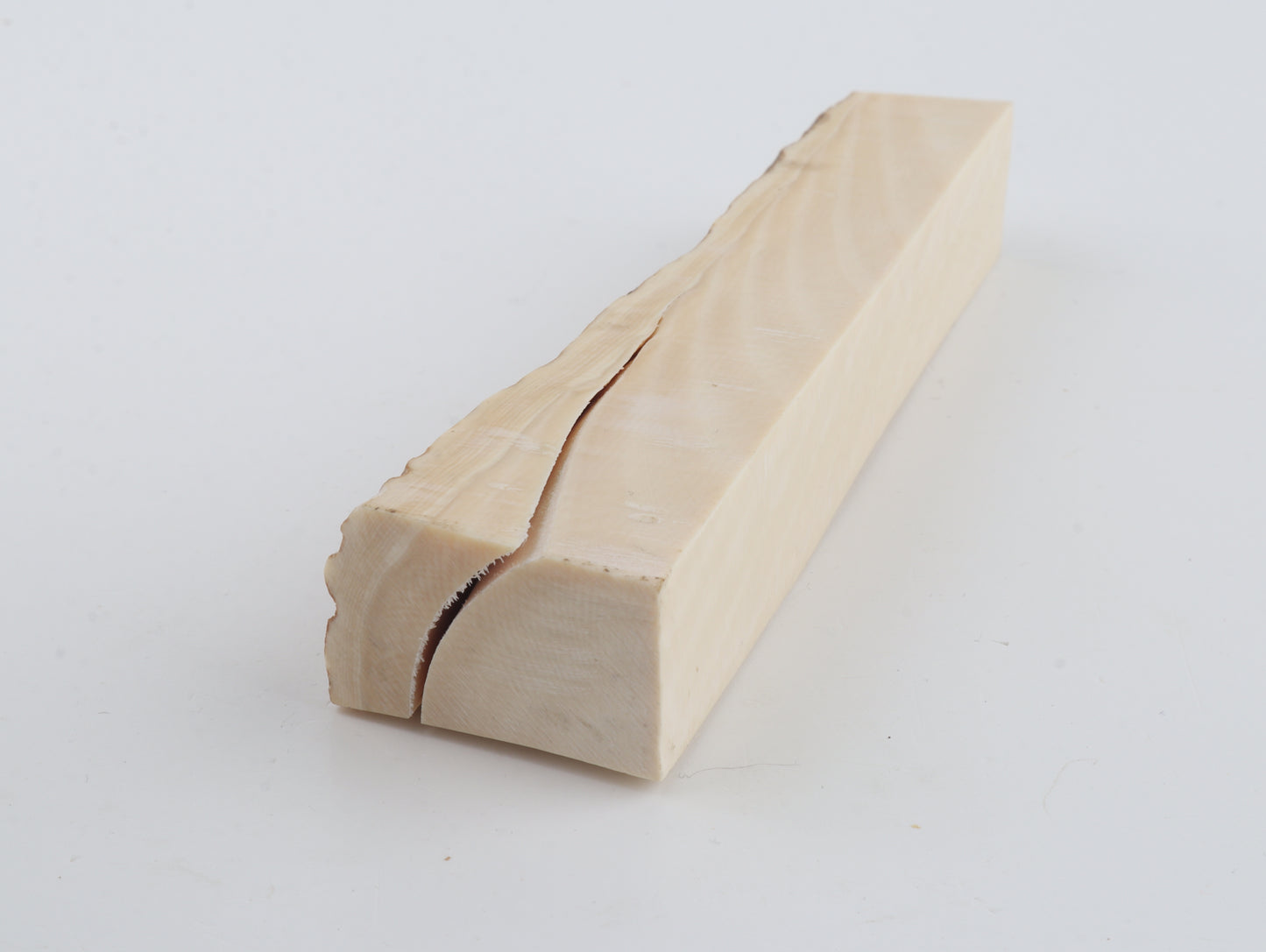 Natural mammoth ivory piece