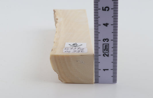 Natural mammoth ivory piece