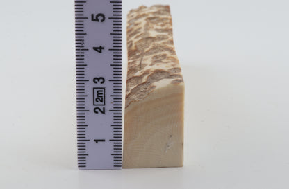 Natural mammoth ivory piece